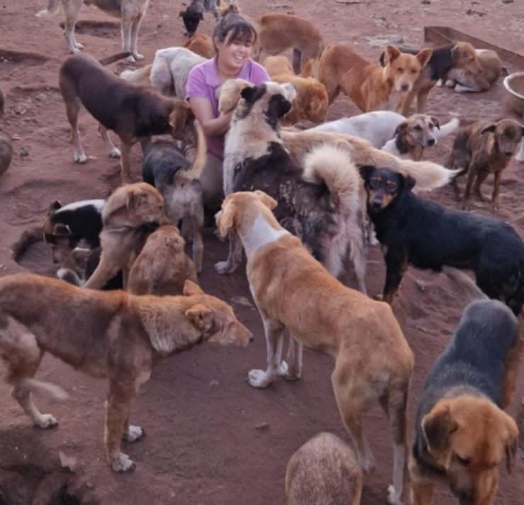 MoneyPotDescription_1ea84a49-7ce2-43db-83e8-ec79d943397f