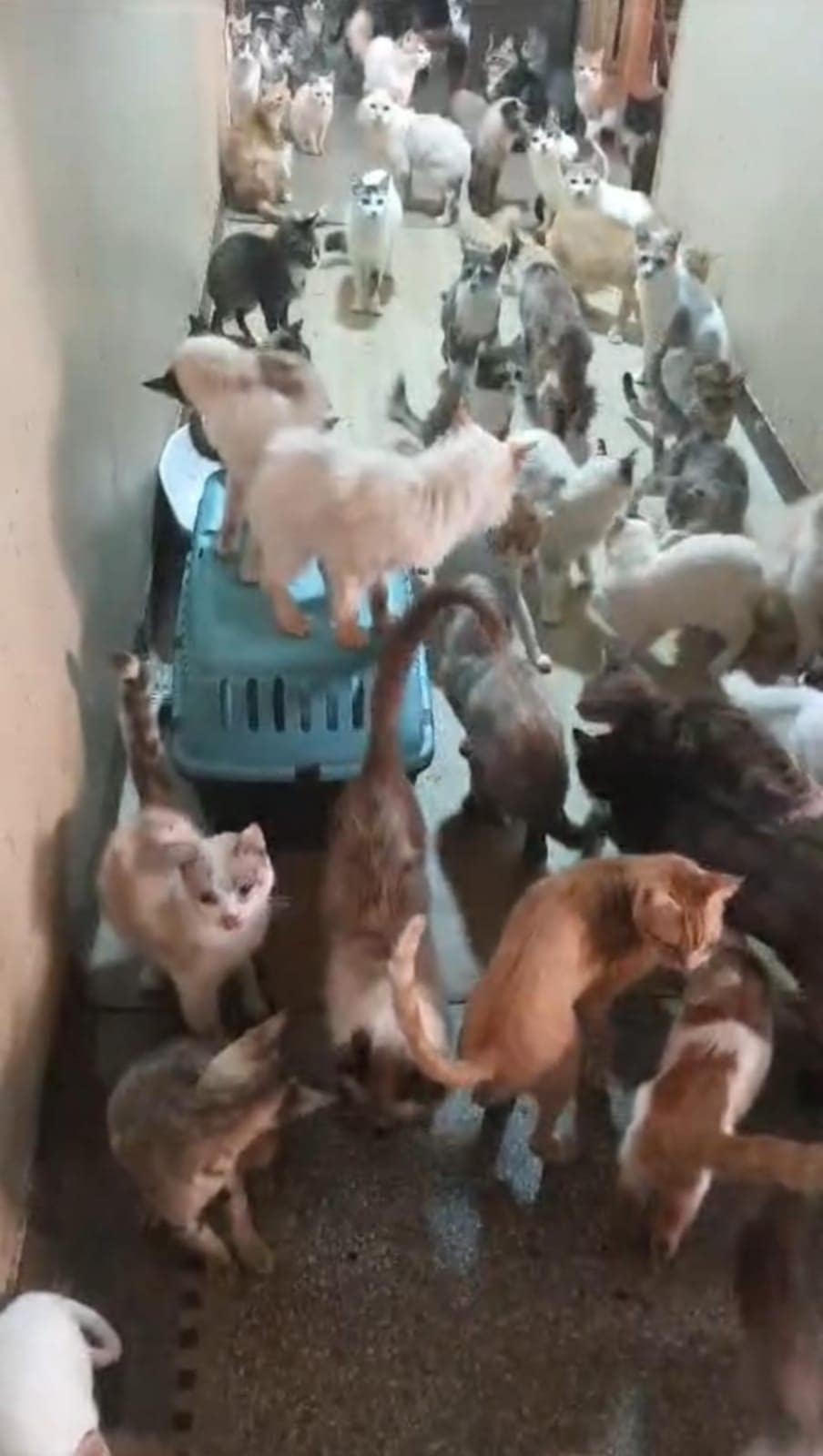 MoneyPotDescription_6defc6ee-e955-49eb-826a-b430f23b8fd5