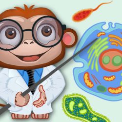 Parts Of The Cell Science Games Legends Of Learning