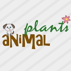 Parts Of The Cell Plants Vs Animals Science Games Legends Of Learning