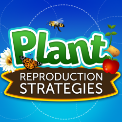 Image for Plant Reproduction Strategies