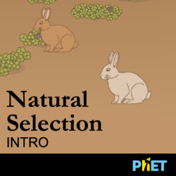 Natural Selection Science Games Legends Of Learning