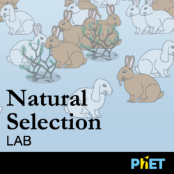 Natural Selection Science Games Legends Of Learning