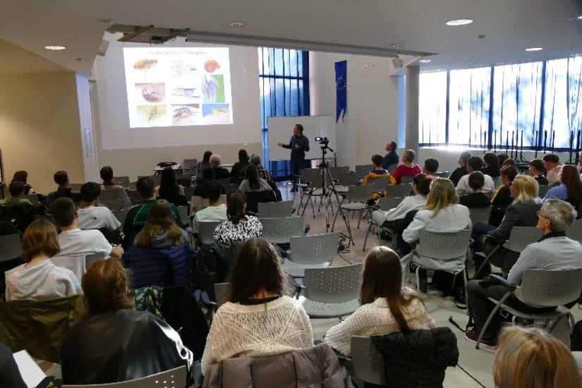 Conférence Maladies transmises par les moustiques et méthodes de lutte