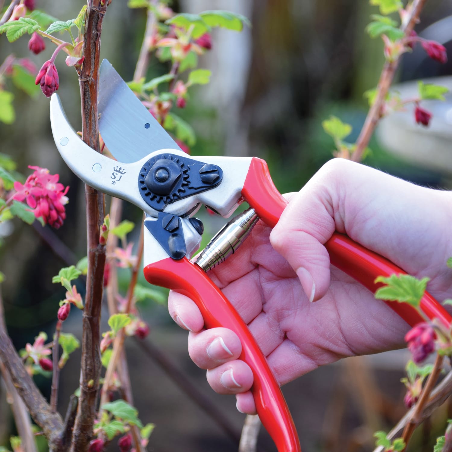 Spear & Jackson Razorsharp Bypass Pruners - Thumbnail 4