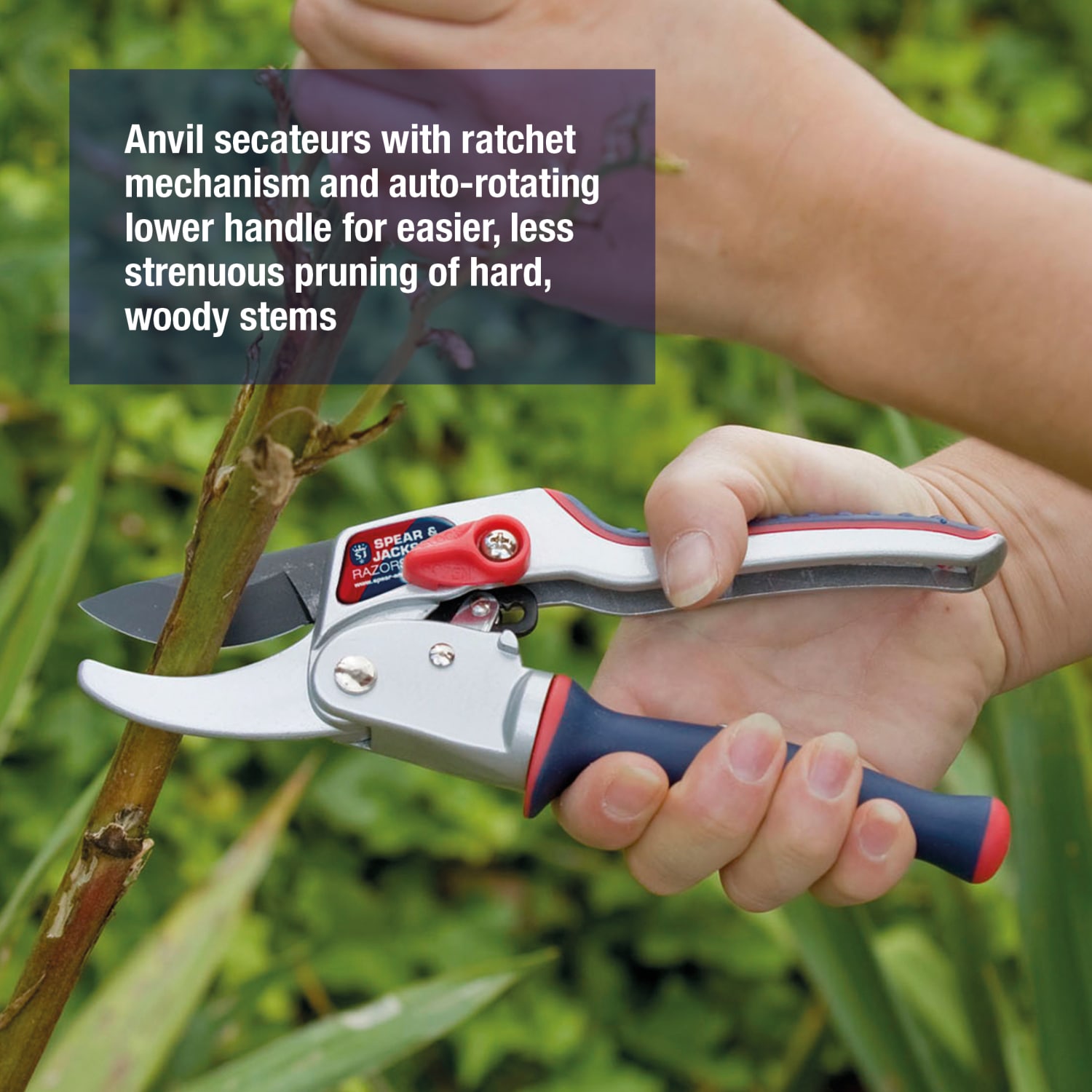 Spear & Jackson Ratchet Anvil Pruners with Twist Handle - Thumbnail 5