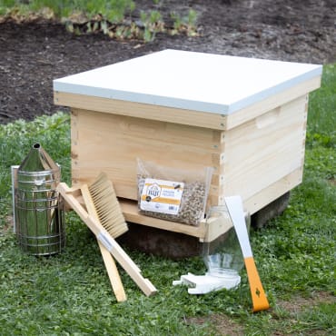 10-Frame Beehive Kit with Tools - Complete Starter Set
