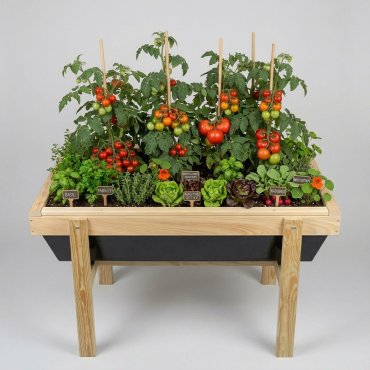 Tabletop Raised Garden Bed - 3 Ft Long
