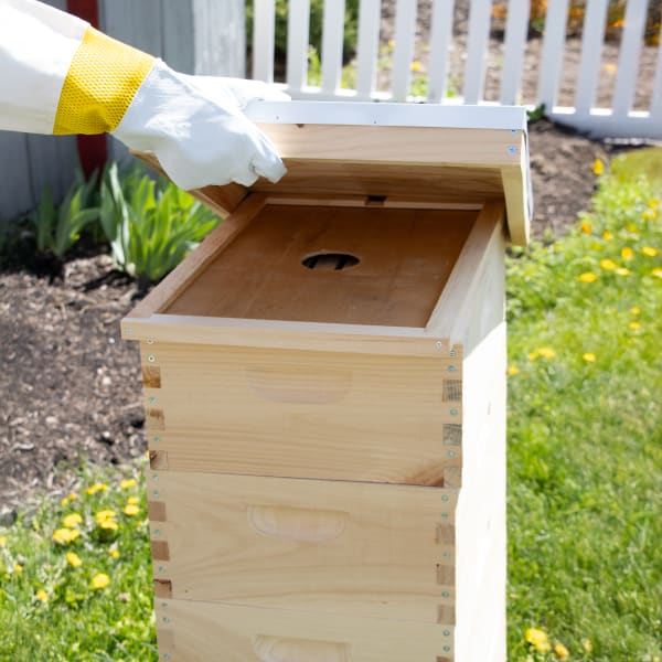 8-Frame Complete Combo Beehive Kit, Amish Made | Lehman's