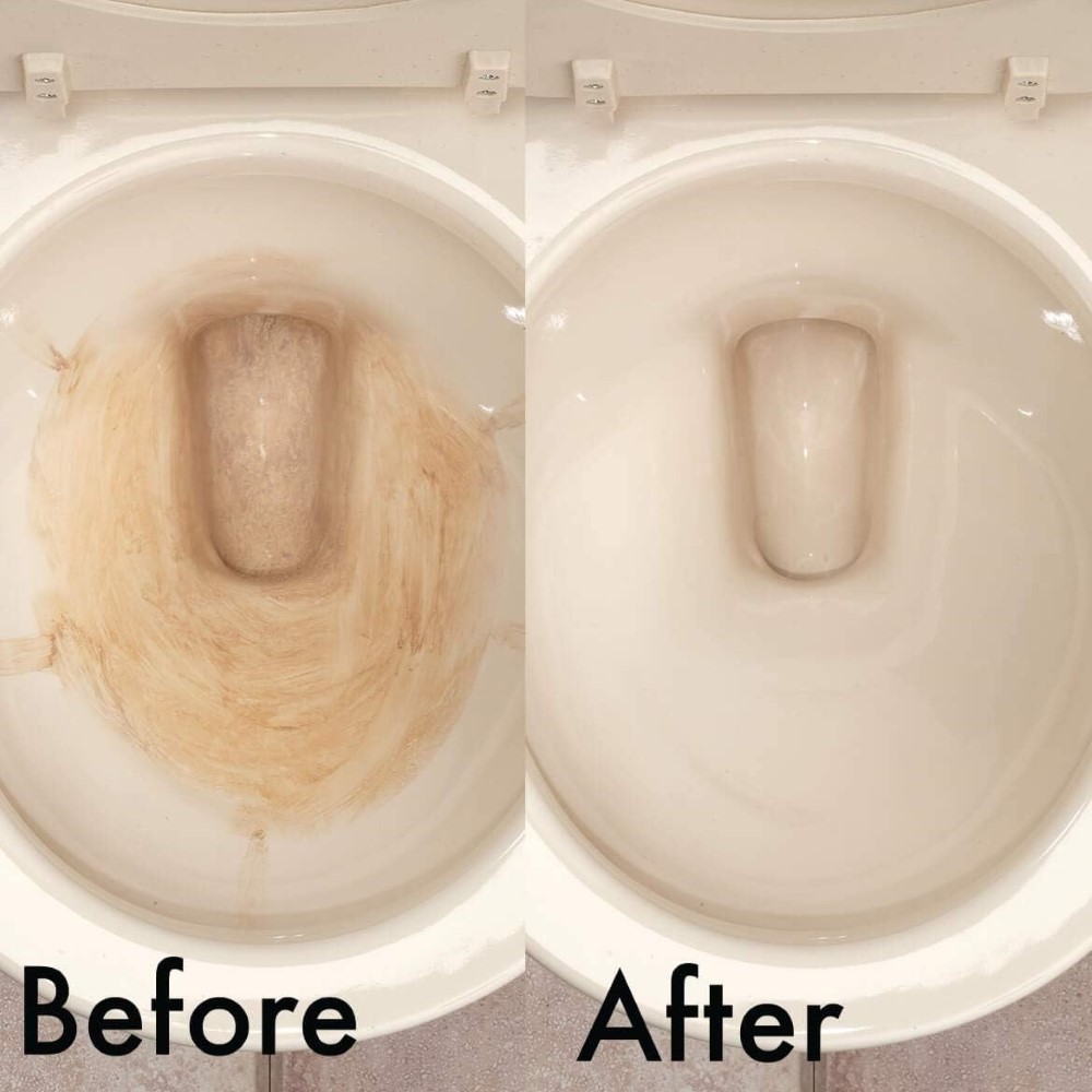 Toilet Set of 4, Cleaning Utensils and Gadgets Lehman's