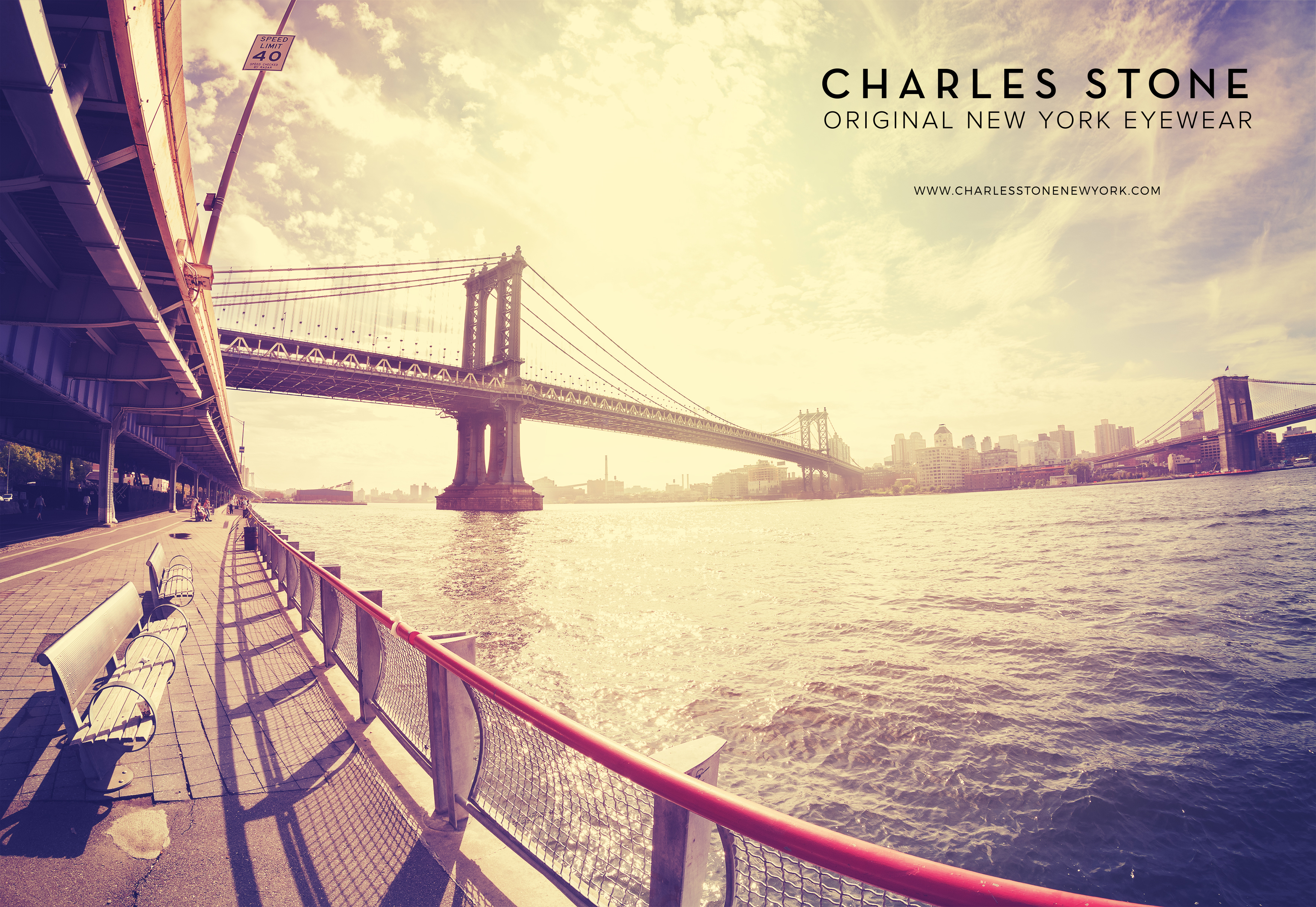 new york charles stone