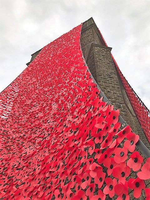 haslemere poppy tower