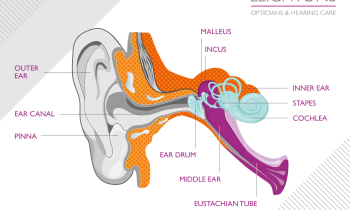 How we hear sound: A journey into the depths of your ears