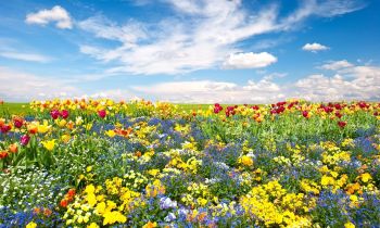 Don't Let Dry Eyes Spoil Your Summer