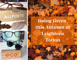 Going Green this Autumn at Leightons Totton