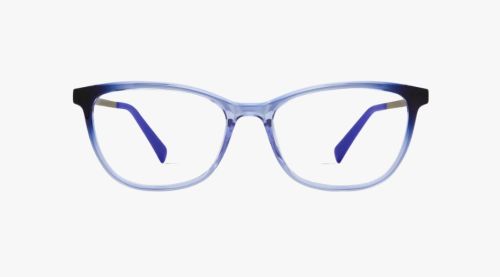Eco Rue glasses in Lavender smoke colour.