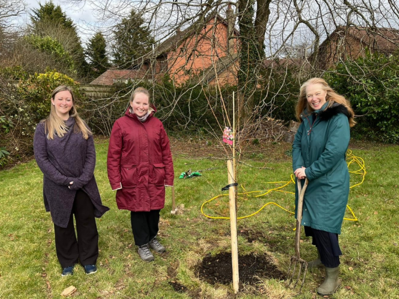 Leightons Haslemere plant a community tree