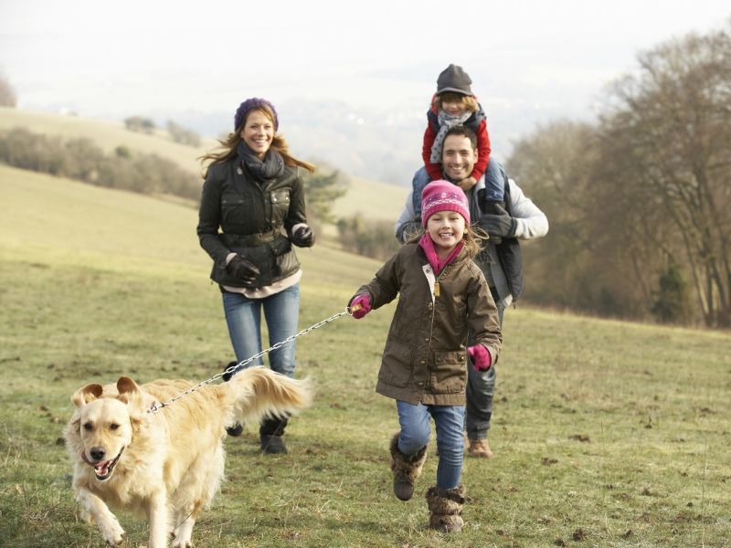 Family walking dog through field