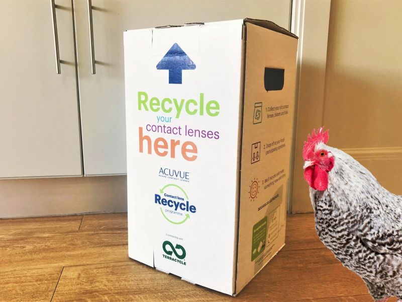 poole-donates-a-live-changing-chicken