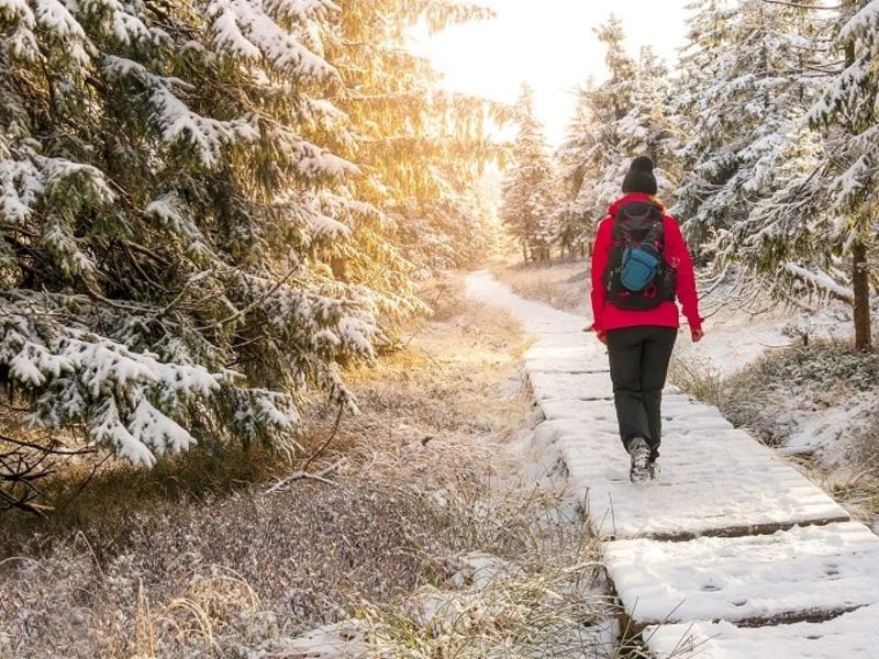 Woman walking on path through snowy woodland