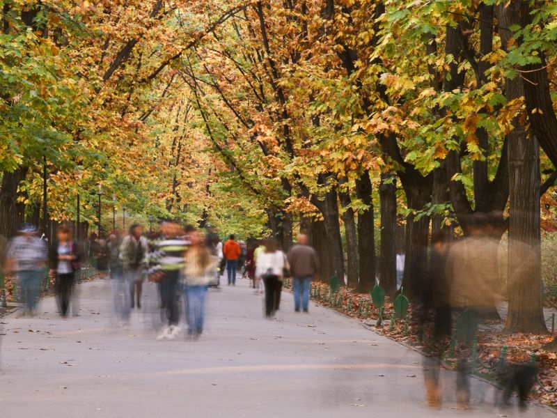 photo of a leafy street, disorientated with blurry people