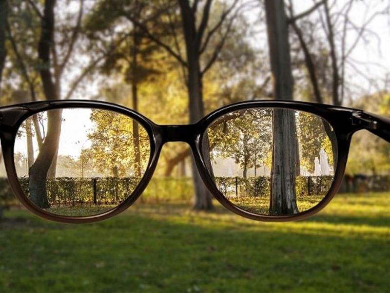 View of woodland through glasses