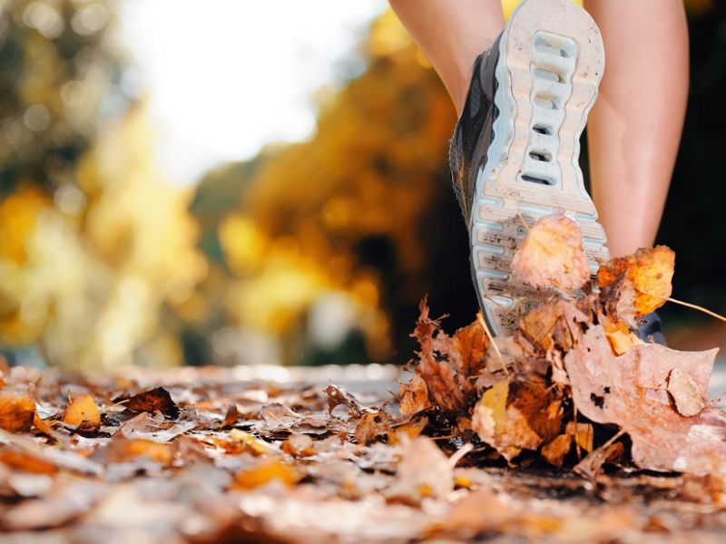 Trainer treading through leaves