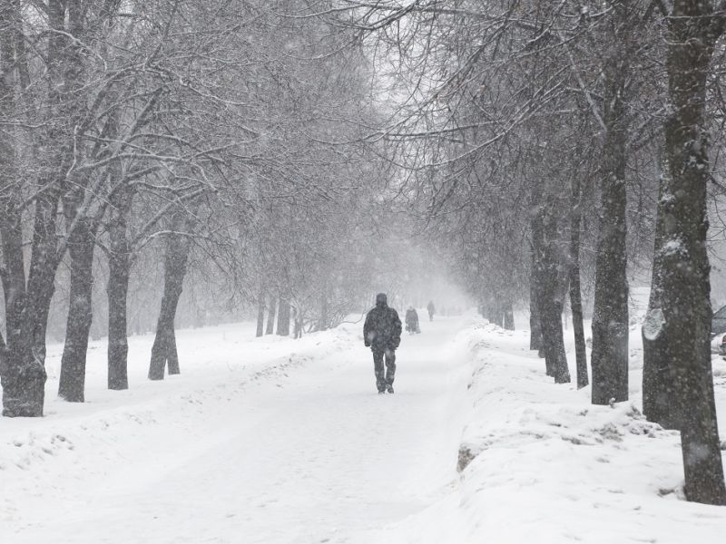 People walking down avenue in snow