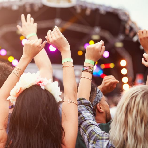 Fans with hands in the air at a music festival