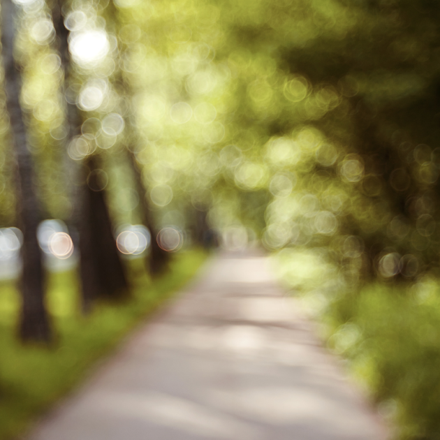 Blurry unfocused landscape with road and vegetation.