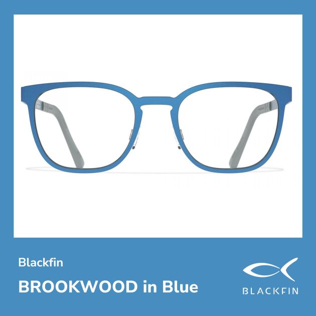 Blackfin brookwood blue glasses