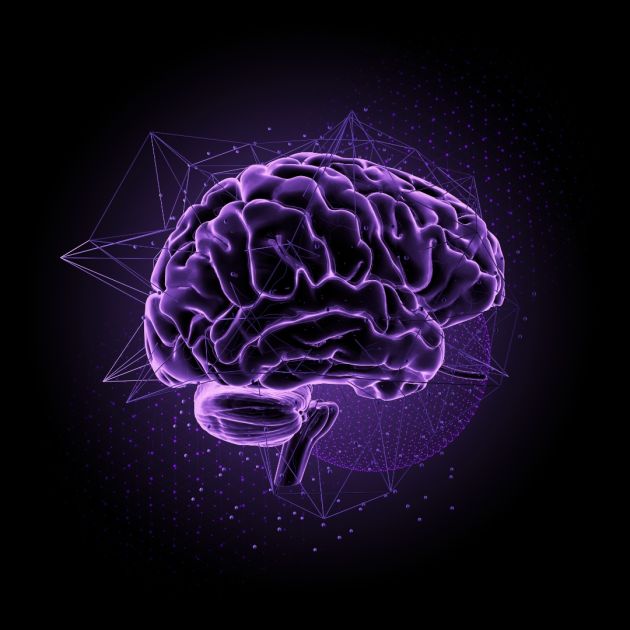 An image of a purple brain on a black background.