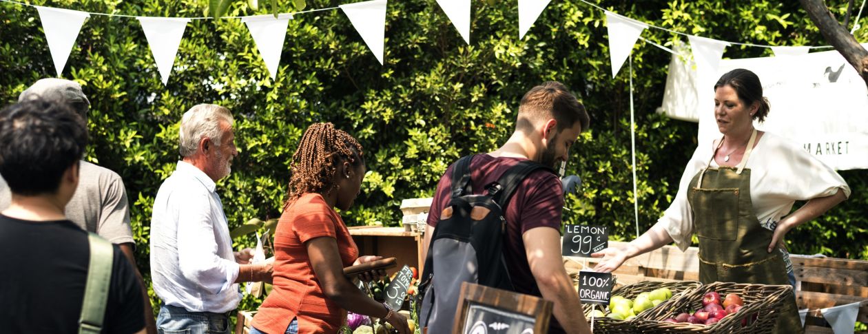 Borough Farm, Kingsbridge - 7th September 2019