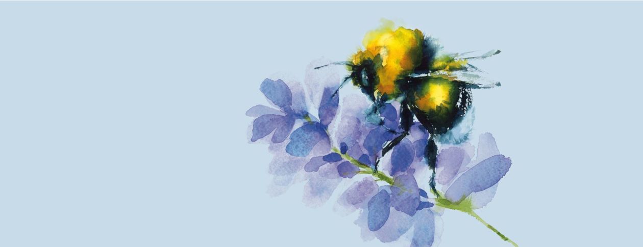 Enjoy the Sounds of Spring