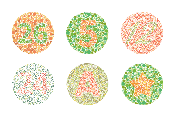 The Ishihara test, a color vision test for detection of any colour vision deficiencies.