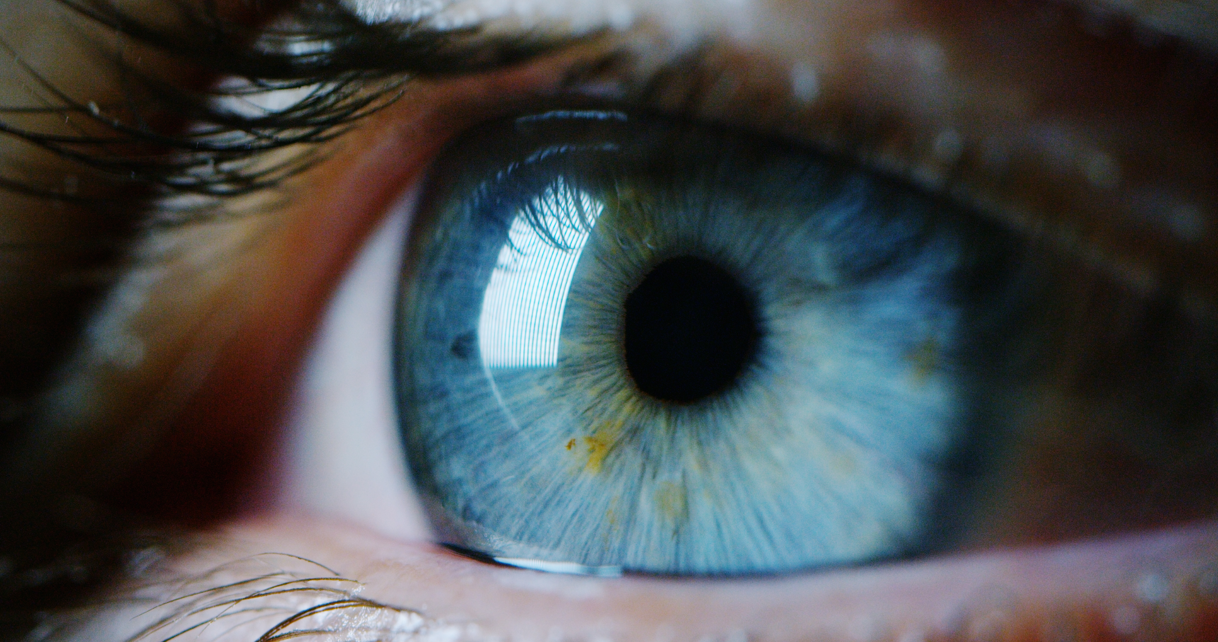 A close-up of a blue eye.