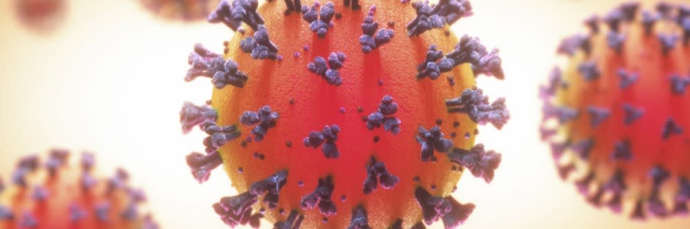 covid 19 virus