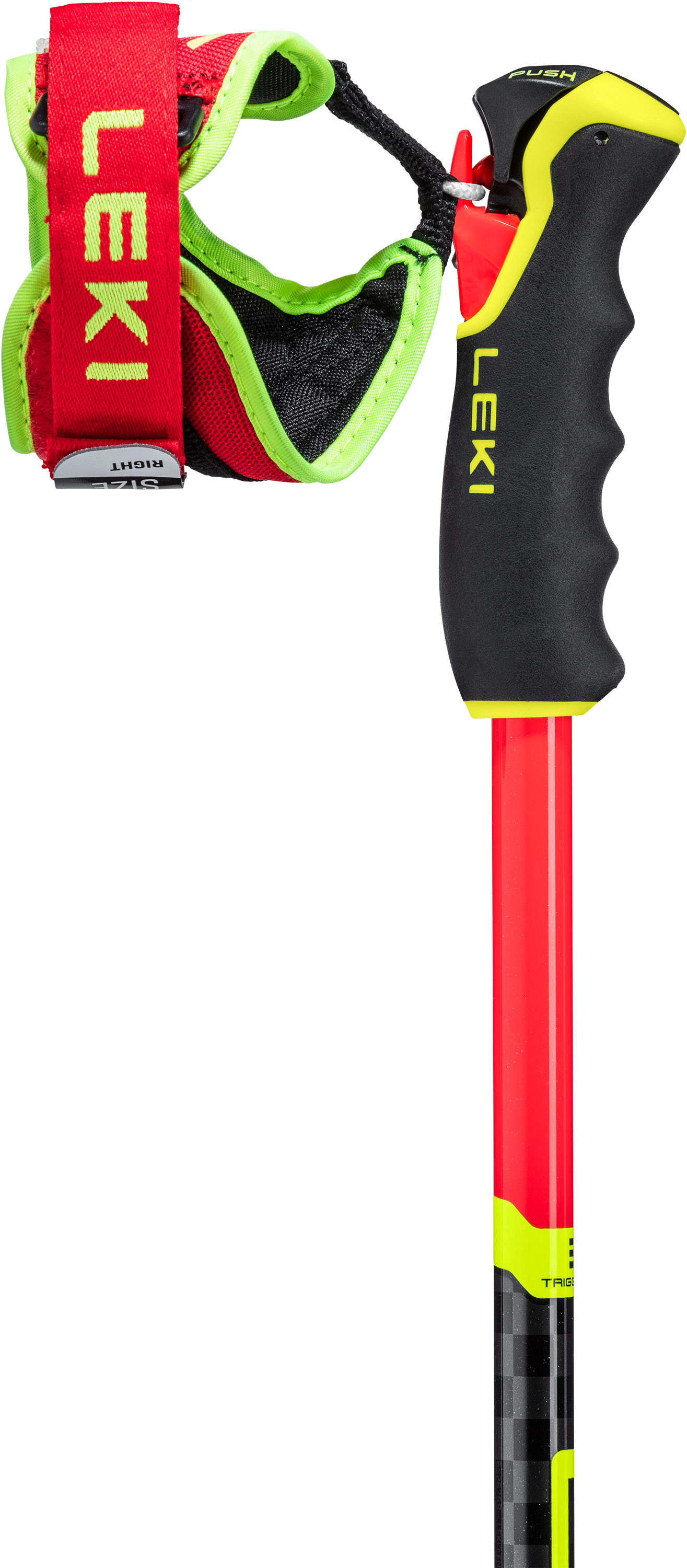 LEKI ストック VENOM CARBON GS 125cm Venom GS 3D | LEKI LEKI ストック VENOM CARBON GS 125cm Venom GS 3D | LEKI