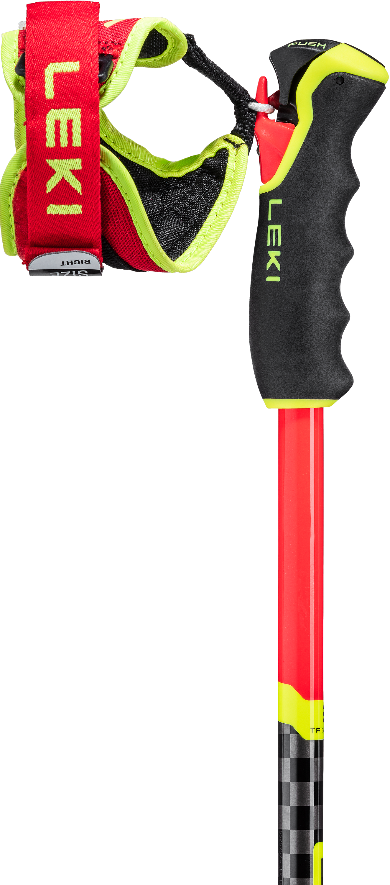 WCR GS Carbon 3D | LEKI WCR GS Carbon 3D | LEKI