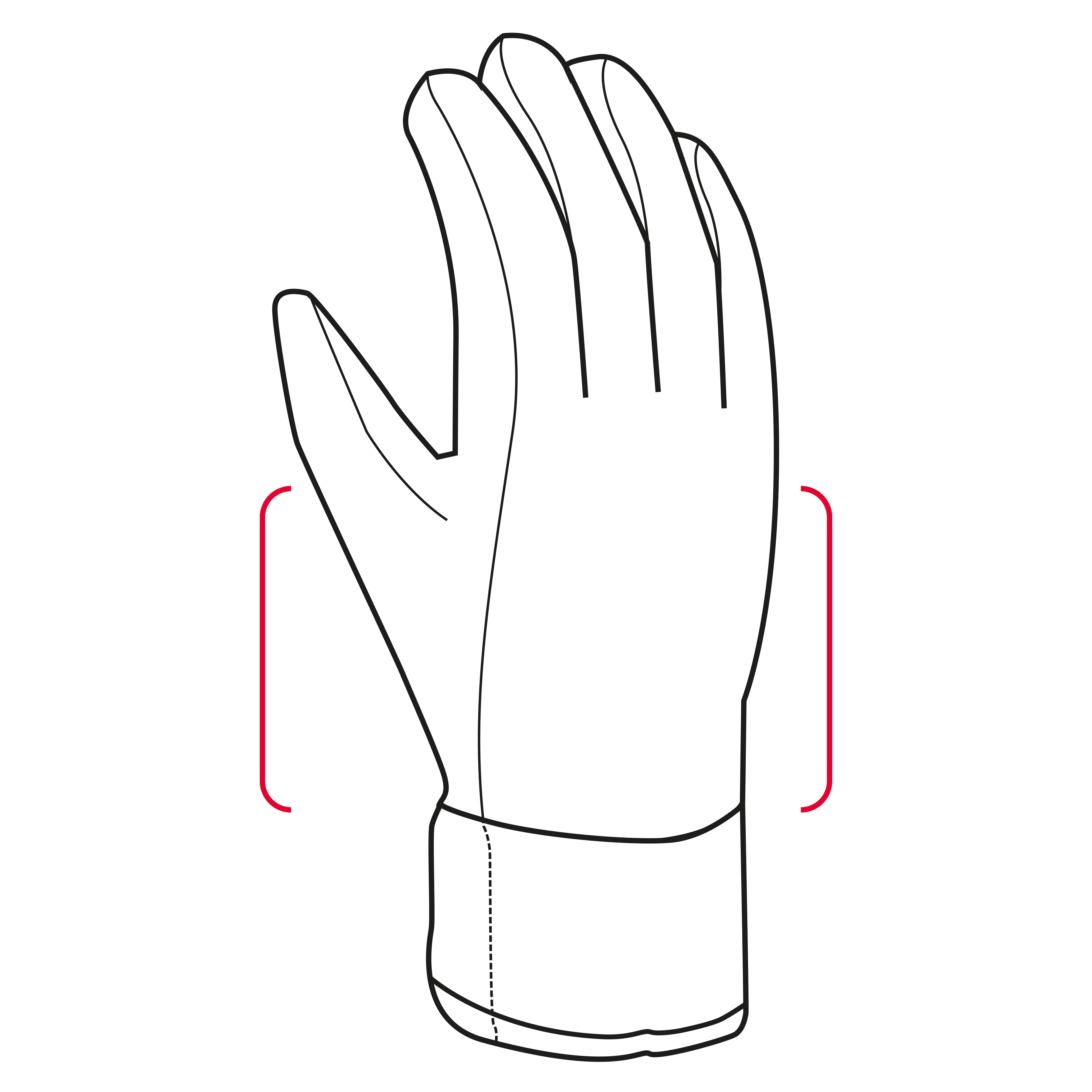 LEKI Thermo Shark Handschuhe - 2+2 Finger Design Für Wintersport