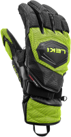 WCR Venom GS 3D