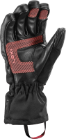 Griffin Base 3D Women