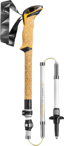 Cressida FX Carbon AS