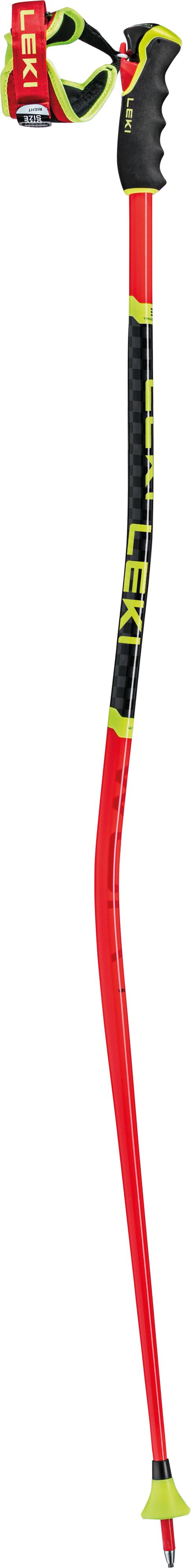 WCR GS 3D | LEKI