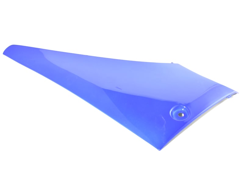 SHIELD LEG RR SIDE LH (BLUE)