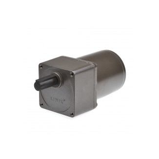 Gear motor YN70 15 rpm