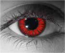 New Moon (Red Twilight)