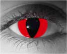 Red Cat