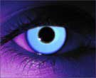 Rave Blue