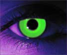 Rave Green